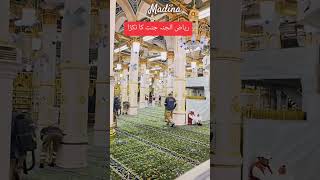 #makkah #madina #viralshort #trending #unfrezzmyaccount #ytshorts #jeddah #riyadh #youtube
