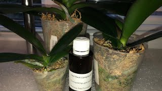 Результат применения Hesi Root Complex (хеси рут комплекс) на орхидеях спустя месяц.