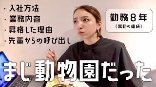 【全歴史】今だから言える、アパレル会社員時代の話。