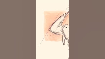 Using the Pen Tool in Adobe Illustrator