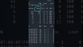 Wifi Hacking Introduction Net Worth