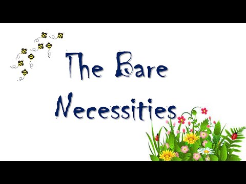 The Bare Necessities