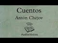 La desgracia – Antón Chéjov (Audiolibro)