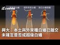 興大：本土與外來種白蟻已雜交 未確定是否成超級白蟻｜20240425 公視中晝新聞