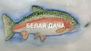 28.04.24 КРХ Белая Дача,Форелевый участок и ОСНОВНОЙ водоём,рыбка ловится на обеих акваториях!