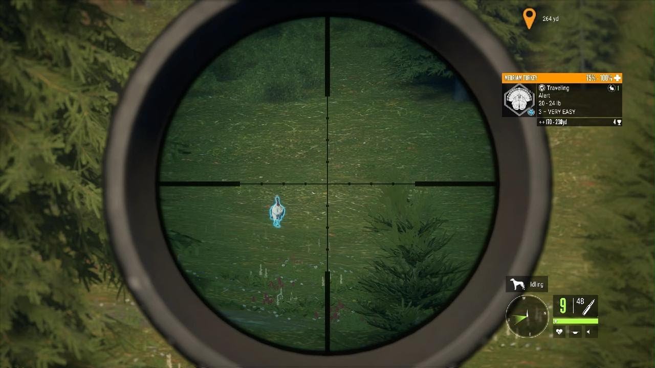 Diamond turkey location #huntercallofthewild