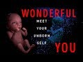 See How A Baby Develops Inside The Womb! | Wonderful You (Oculus Rift/GearVR)