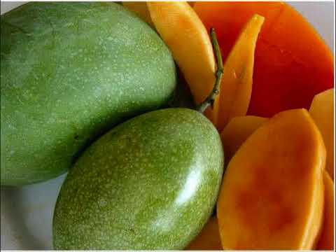 DILUAR DUGAAN !! Inilah Manfaat Buah Mangga Bagi Kesehatan dan Kecantikan video phone beyonce mp3
