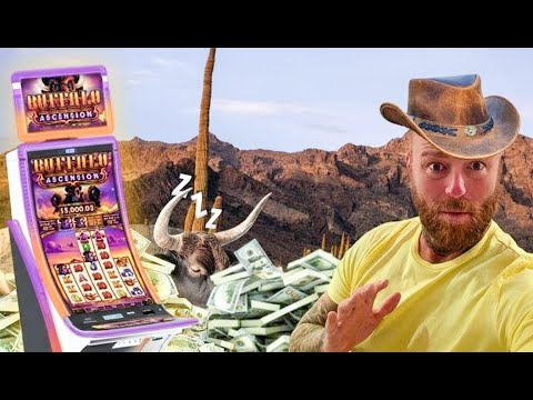 Buffalo Slots - 61 FREE GAMES On MAX BET!