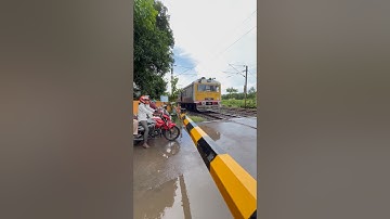 Emu skip Railgate #shorts