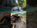 Thailand’s Hidden Blue waterfall #travelingram #travel #thailand #thailandtravel #indiantraveller