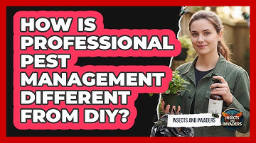 How Is Professional Pest Management Different From DIY?