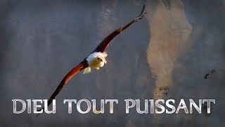Video thumbnail of "Dieu tout puissant || Louange + Paroles"
