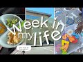 Week in My Life as a Stay At Home Mom | SoDazzling Vlogs