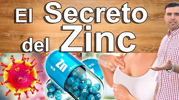 ¿Qué aporta el zinc a los pulmones?