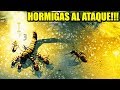 MI PROPIO HORMIGUERO - EMPIRES OF THE UNDERGROWTH #1 | Gameplay Español