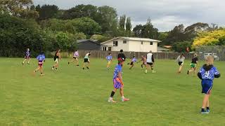 IMG 0518