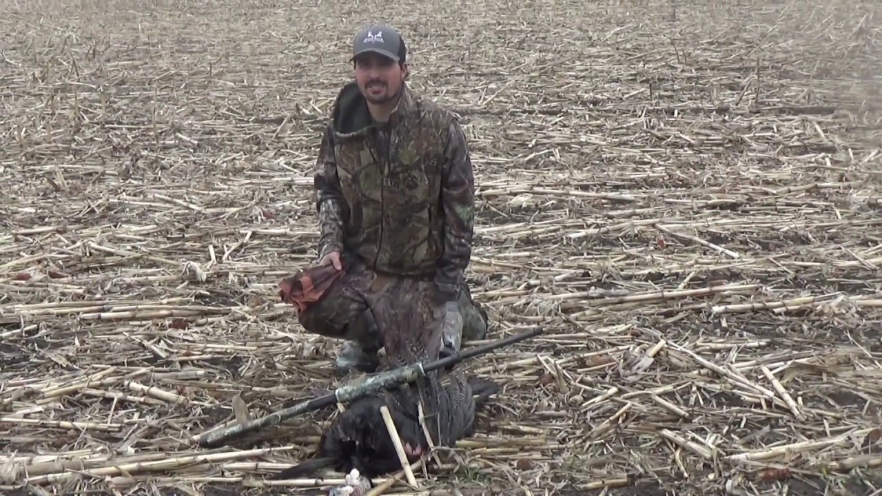 Spring Turkey Hunting "Reaping" Two Toms at 5 Yards YouTube