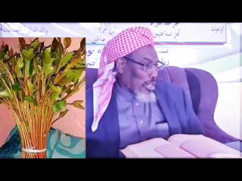 Wa E Jima Shek Musa Suwala