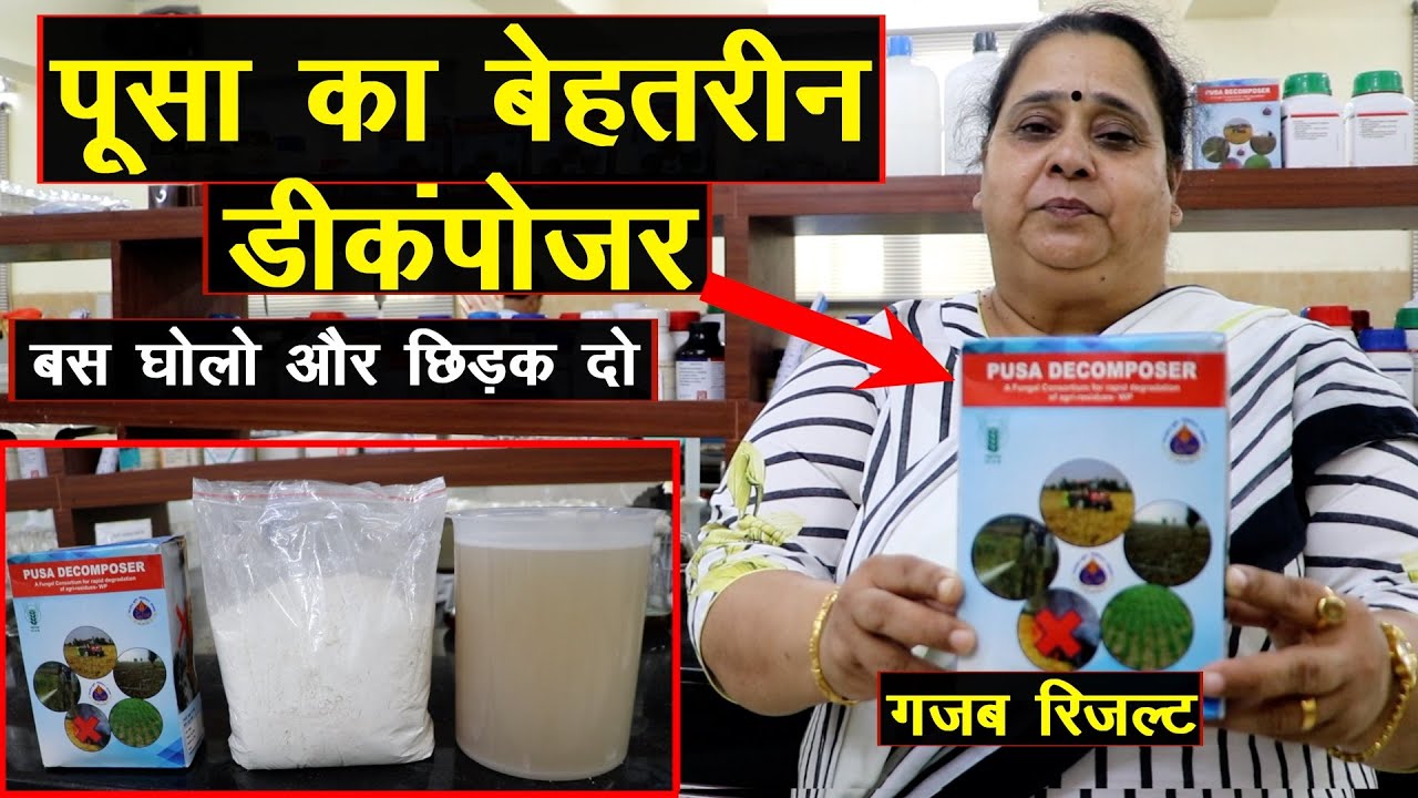 पूसा का नया डीकंपोजर, जमीन को ऐसे ताकतवर बनाता है || Technical Farming ||