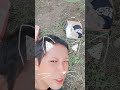 Kucing Berjemur Pagi Hari Joget Kicau Manianya nanti #shorts