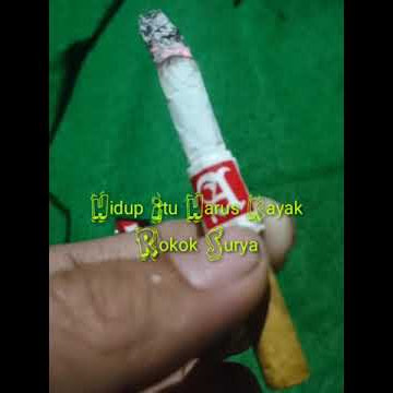 Story WA ( Jangan Di Lihat Dari Luarnya Tapi Lihat Isinya )