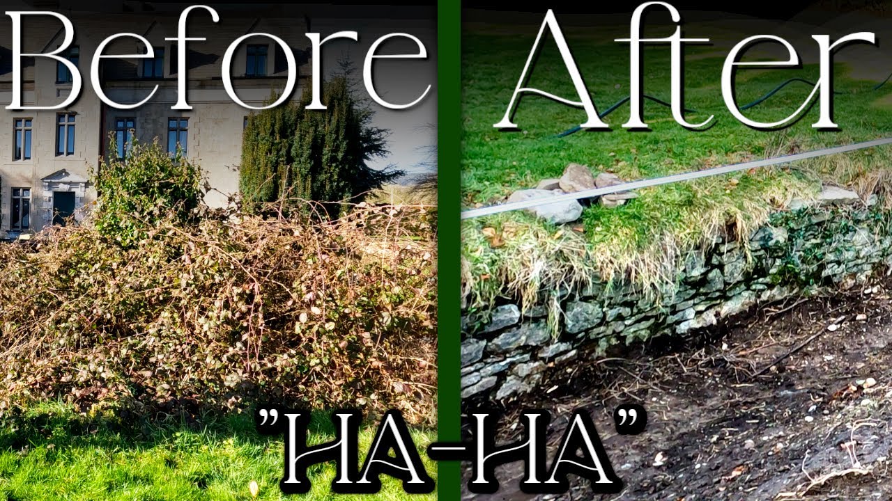 What is a Ha-Ha? (and why it's the best garden feature)