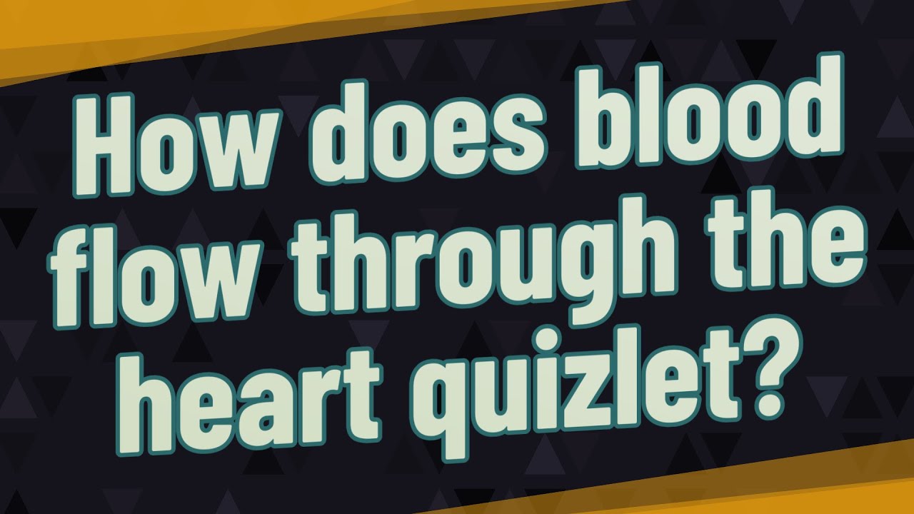 How does blood flow through the heart quizlet? YouTube