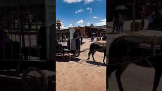 Paseo del Viejo Oeste ⭐️DURANGO #méxicoes #durango #paseodelviejooeste