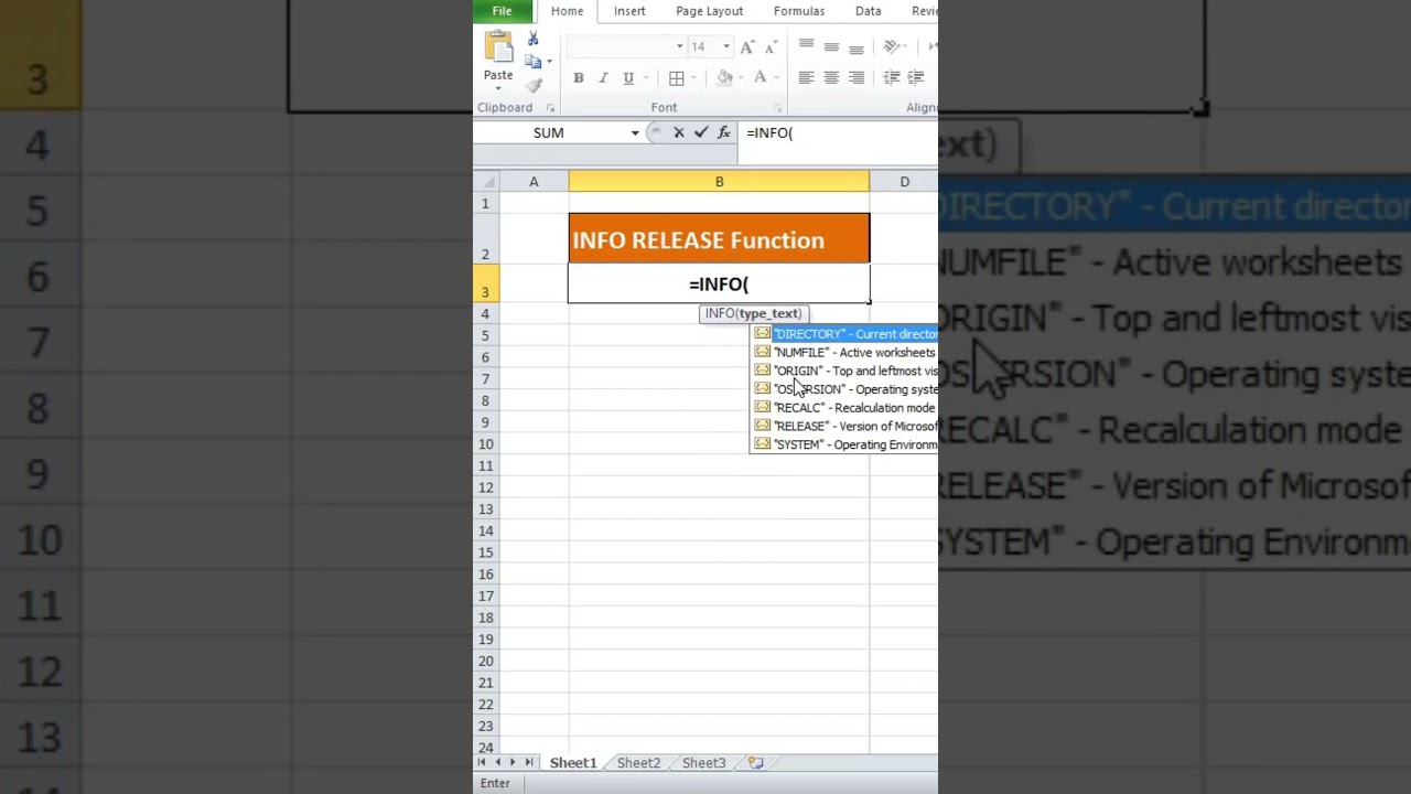 INFO Function in Excel (RELEASE) | Find Excel Version Information