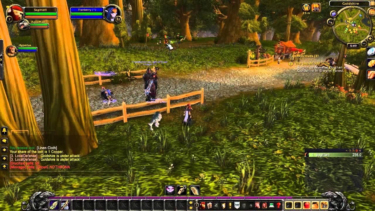 WoW Hunter 1-10 speed leveling (time lapse)