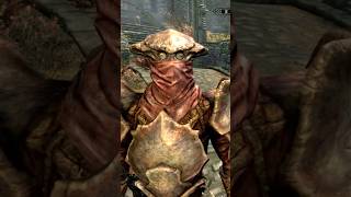 Skyrim-Chitin Vs Dwarven Armor Visual