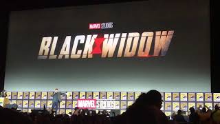 Marvel Black Widow cast introduction