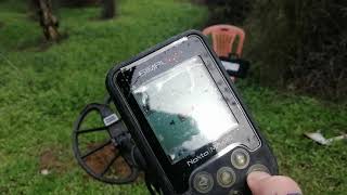 Sımplex Altin Testi Amator Test