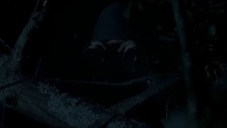 The Walking Dead - Season 7 OST - 7.08 - 25: Binoculars Net Worth