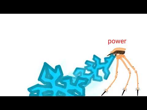 strider dc2 download