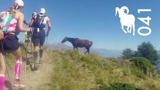 THE 2016 OCC - Osiers - Champex - Chamonix