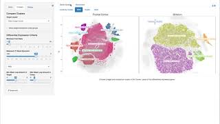 5. Differential Gene Expression: Comparing Different Regions