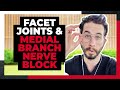 Facet Joints & Medial Branch Nerve Block