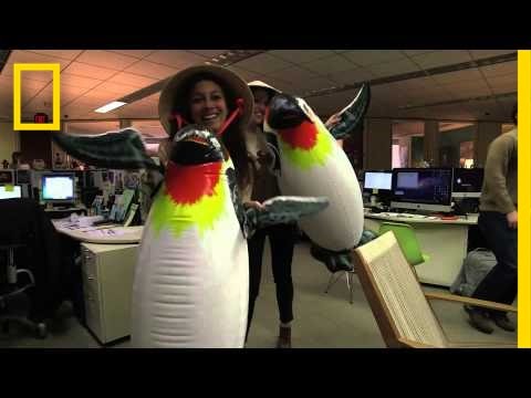 National Geographic Channel gets "Happy" | National Geographic
