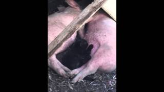20150717 064033