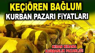 ANKARA KURBAN PAZARI FİYATLARI 2026 - KEÇİÖREN BAĞLUM