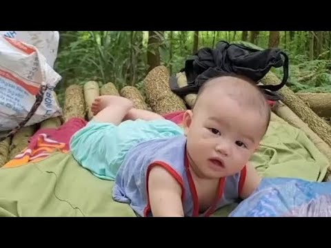 Single Mom Builds a Secret Forest Shelter to Protect Her Child ...
