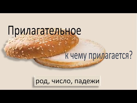 Русский язык. Имя прилагательное: изменение по родам, числам, падежам. Видеоурок