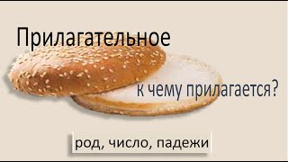 Русский язык. Имя прилагательное: изменение по родам, числам, падежам. Видеоурок