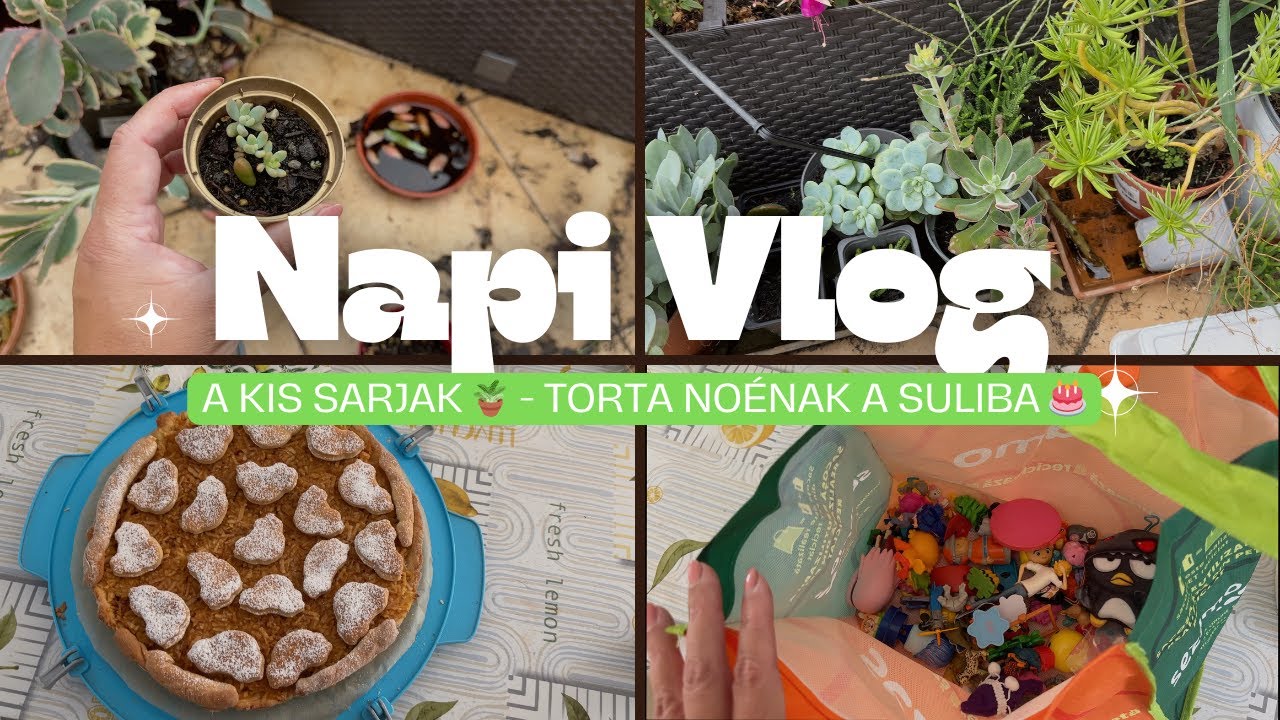 NapiVlog (szept. 15-17.) - A kis sarjak 🪴 - Torta Noénak a suliba 🎂