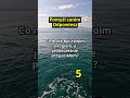 Co może być twoim wrogiem, a jednocześnie przyjacielem? #logika #edukacja #quiz #życie #ciekawostki