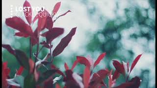 quickly, quickly - lost you