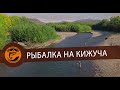 Рыбалка на кижуча на Камчатке