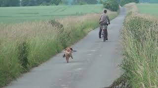 Apport To Go Am Fahrrad